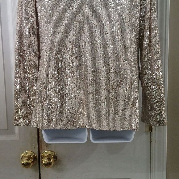 Banana Republic beige sequin blazer Sz 4 NWOT Classy unique Party - Picture 5 of 8